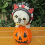 ハロウィン★ペキニーズ