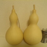 乾燥ひょうたん２本セット⑮24㎝と24㎝