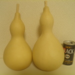乾燥ひょうたん２本セット⑯25㎝と23㎝