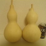 乾燥ひょうたん２本セット⑱23㎝と21㎝