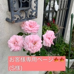 お客様専用ページ🎃👻(S様)