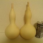 乾燥ひょうたん２本セット㊸19㎝と18㎝