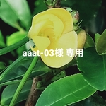 aaat-03様　専用