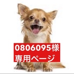 専用ページ