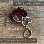 ✶とろり闇夜に溶ける✶薔薇の花びらの片耳ピアス