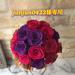 junjun0422様専用