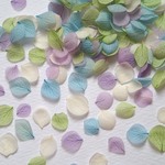あじさいのはなびら＜寒色系MIX　計200枚＞