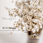 1212sheep 様 専用ページ