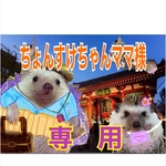 こちらはちょんすけちゃんママ専用です