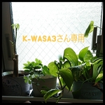 k-wasa3さん専用 オーダーメイド newカラー  ペットの首輪  レース&リボン  くすみダークピンク×ベージュ