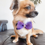 ミックスカラーのハロウィンリボン🎃🎀 犬用リボン　トリミング　キッズリボン　わんこバレッタ　大人かわいい　プチギフト　jdバレッタ　トップノットリボン　ベビーヘアクリップ　ワンコ用バレッタ