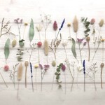 40本　ドライ＆プリザーブドフラワー 茎付き　アソート　結婚式　席札　メニュー ウェディング bouquet013
