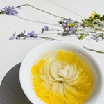 無農薬　金絲皇菊　特級　