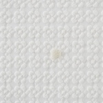 専用ページ