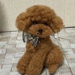 羊毛フェルト　トイプードル