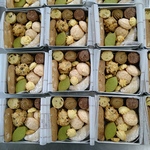 【送料込】クッキー缶＆スコーン２種