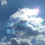 フルグラ様専用ページ