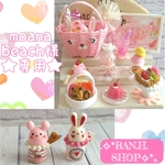 moanabeach様★専用　ミニチュア
