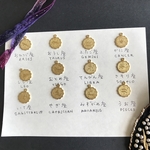 6個 真鍮無垢　12星座のチャームのうちからお選びください。