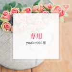 yoake666様専用出品