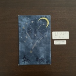 送料無料/敷物/夜空・オリオン座手刺繍T023
