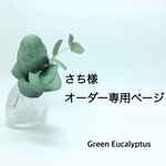さち様オーダー専用ページ