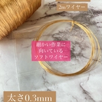 【送料無料】2m 14kgfワイヤー　太さ0.3mm　