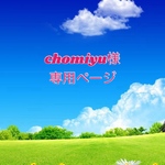 chomiyu様専用ページ