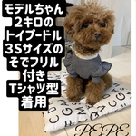 うちのこネームタグ♡Tシャツ型orラグラン型　犬服　名入れ