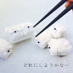 【しろっぷ様専用】