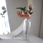 敬老の日✿*:gift flower✿*: ずっと咲いてる❁*·可憐なクリスマスローズ一