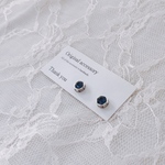 送料無料✴︎アレルギー対応✴︎再販♡silver kira kira+ swarovski ピアス・イヤリング♡モンタナ