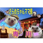 こちらはザラメちゃんママ様専用