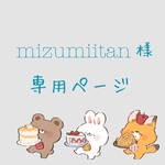 mizumiitan様専用