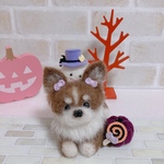 羊毛フェルト　チワワちゃんのハロウィン