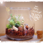 テラリウム『くつろぎハムスター』☆再販☆
