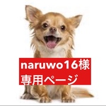 専用ページ