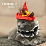 【猫用】ハロウィンセット(リクエスト品)