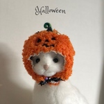 ハロウィン🎃パンプキン