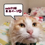 saiki91様　専用ページ②　手作りマスク　大きめ大人用　★夏用★