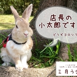 aynsgr様専用ページ