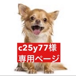 専用ページ