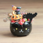 黒猫ポットのハロウィン・アレンジ