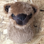 ハンティングトロフィー  ［熊］