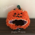 ハロウィン🎃パンプキン