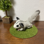 フクロモモンガ☆ご依頼品