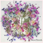633.押し花アソート〜カラフル　お花　mix 押し花素材