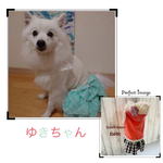 may-yuki様専用⋆*❁*⋆ฺ｡*.•♬✧