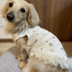 ★犬服★ 再販　ワッフルワンピース