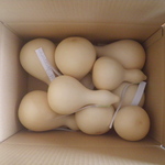 bunbun383様専用　乾燥ひょうたんセット